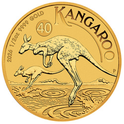 Australijski Kangur 1/2 uncji Złota 2026