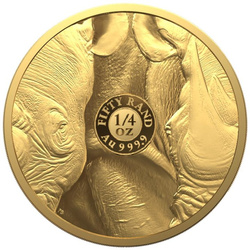 Big Five II: Rhino 1/4 oncia d'oro 2022 Proof