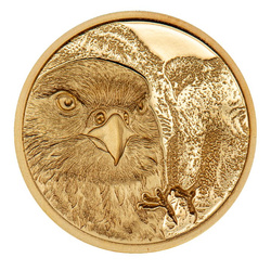 Mongolie : Faucon mongol 1/10 once d'or 2023 Proof Ultra High Relief