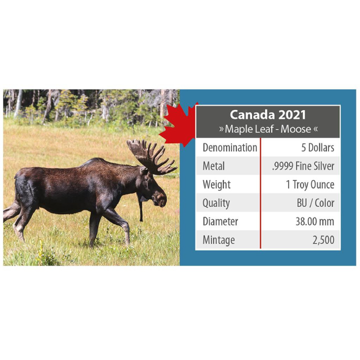 Canada: On the Trails of Wildlife - Maple Leaf "Moose" kolorowany 1 uncja Srebra 2021