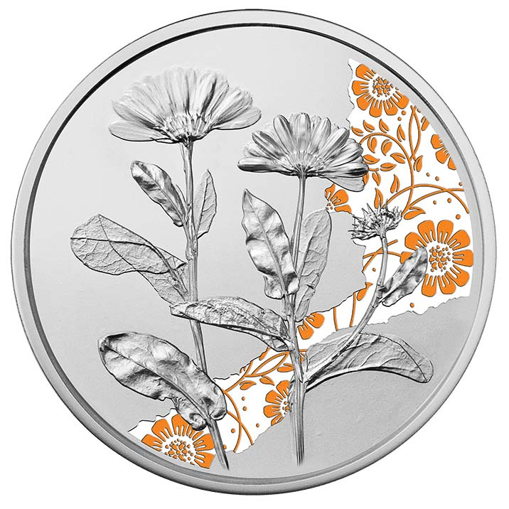 Marigold kolorowany 10 Euro Srebro 2022 Proof 