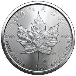 Ensemble de 3 pièces Canadian Maple Leaf Treasured 3 x 1 once d'argent 2022, 2023, 2024