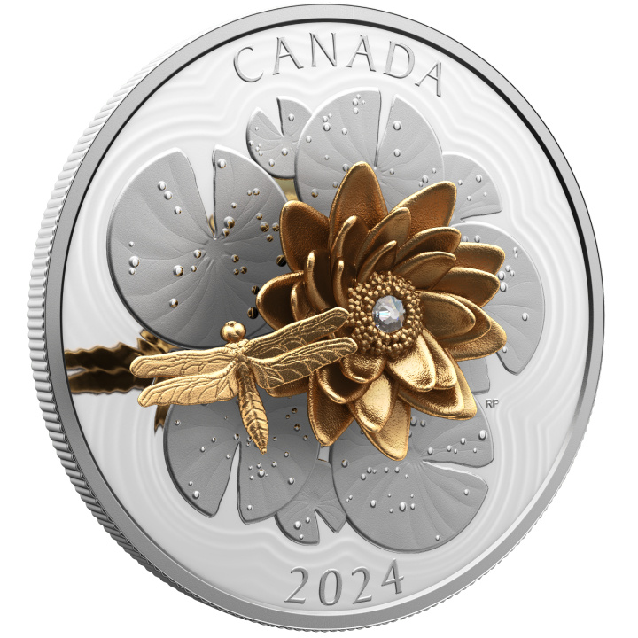 Canada: The Dragonfly and the Bloom $50 Silver 2024 Gilded Proof Coin