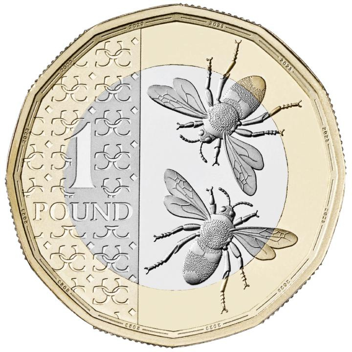 Set di 8 monete in rame-nichel Regno Unito Definitive 2024