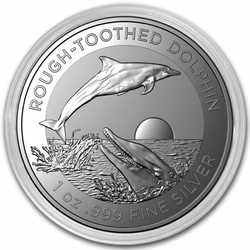 Delfín de dientes rugosos 1 oz Plata 2023