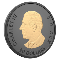 Kanadský Javorový List “Gilded Elegant Maple” pozlacená 1 unce Stříbra 2025 Proof