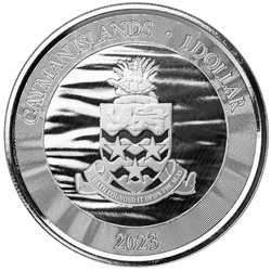 Cayman Islands: Loggerhead Turtle kolorowany 1 uncja Srebra 2023 Proof
