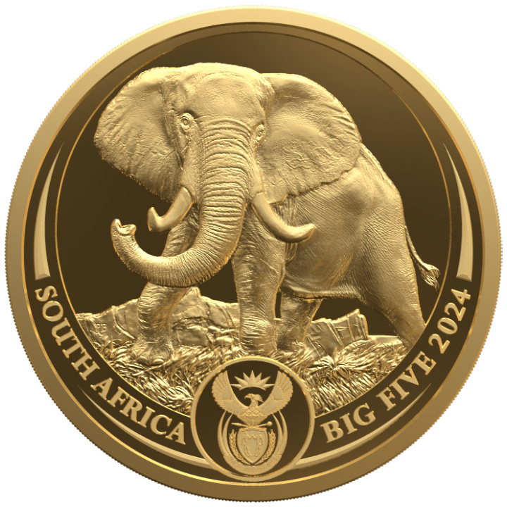 Big Five III: Set Elefante 2 x 1/4 oncia d'oro 2024 Proof
