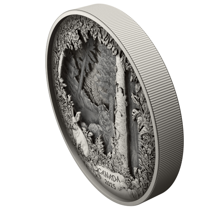 Canada: Predatore o preda in cornice $175 Argento 2025 Finitura anticata