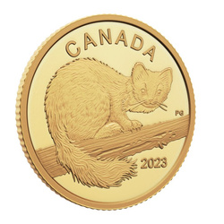 Canadá: The Curious Marten $10 Gold 2023 Proof