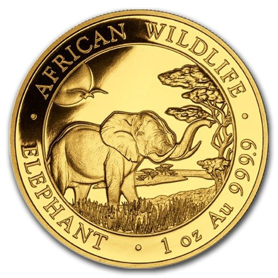 Vida salvaje africana: Elefante somalí 1 oz Oro 2019