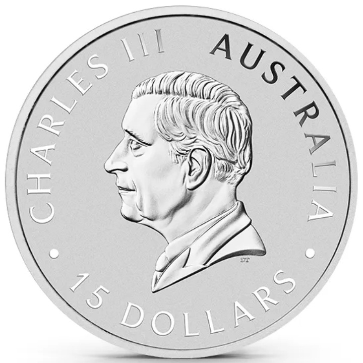Koala 1/10 oncia di platino 2024