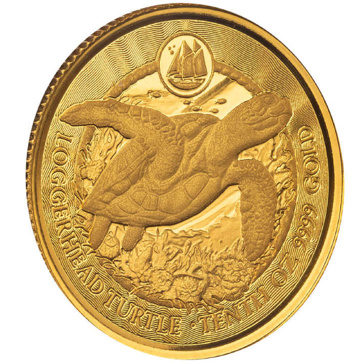Cayman Islands: Loggerhead Turtle 1/10 uncji Złota 2023 Prooflike
