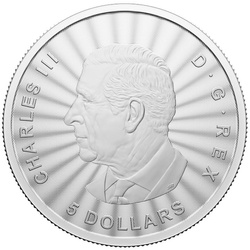 Kanada: A fenséges jegesmedve 1 uncia ezüst 2024 (kártyában)