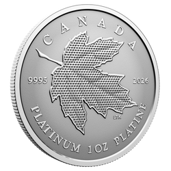 Platinmünze Kanada: Maple Leaf Forever 1 Unze Platin 2026 Reverse Proof
