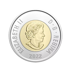 Wedding 5 Coin 2022 Card Set