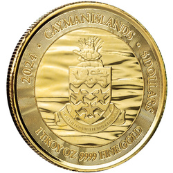 Cayman Islands: Loggerhead Turtle 1 uncja Złota 2024 Prooflike