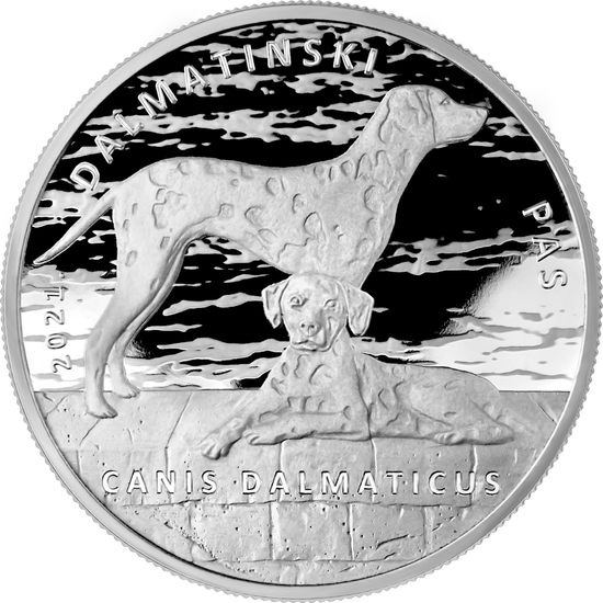 Croazia: Cane dalmata 1 oncia d'argento 2021