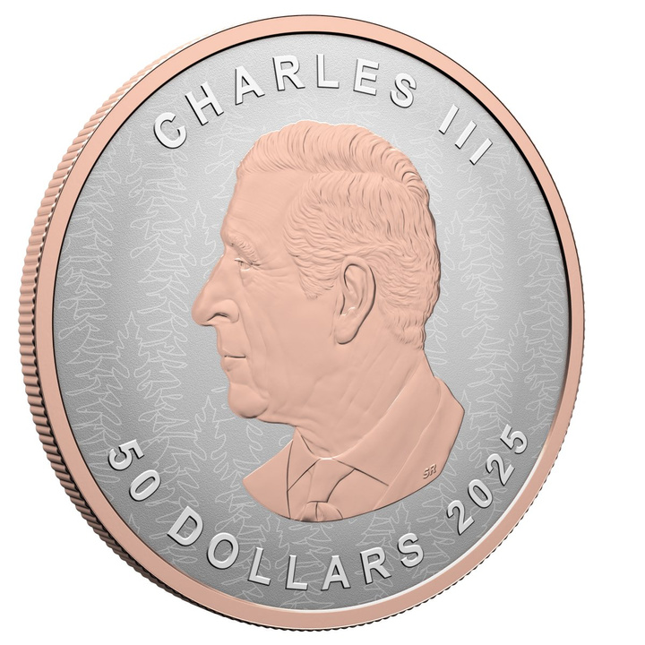 Kanadyjski Liść Klonowy “Silver Maple Leaf” pozłacany 5 uncji Srebra 2025 Reverse Proof Ultra High Relief