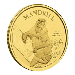 Cameroon: Mandrilll 1 uncja Złota 2021 Proof
