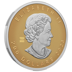 Feuille d'érable canadienne 1 once d'or 2023 Proof Ultra High Relief