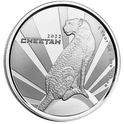 Cameroon: Cheetah 1 oz Silver 2022 Prooflike