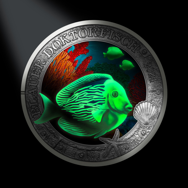 Blue Doctorfish kolorowany 3 Euro Miedź 2024