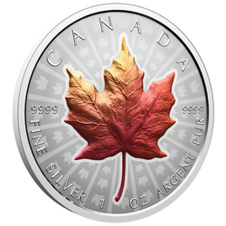 Silver Coin Silver Maple Leaf Colorized 1 oz Silver 2026 Reverse Proof Ultra High Relief