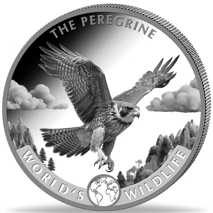 Congo: World‘s Wildlife - Peregrine Falcon 1 oz Silver 2024