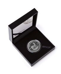 Krugerrand 1 uncia ezüst 2022 Proof