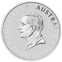 Kookaburra 1000 gramów Srebra 2026
