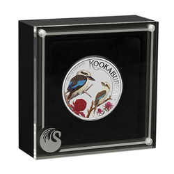 Kookaburra kolorowana 1 uncja Srebra 2023 (World Money Fair)