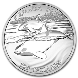 Orca Whale 1 oz Silver