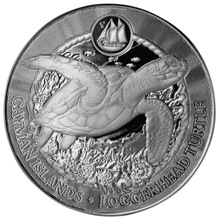 Cayman Islands: Loggerhead Turtle 1 oz Silver 2025 Prooflike