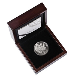 Big Five II: Rinoceronte 1 oz Platino 2022 Proof