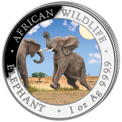 African Wildlife: Somalia Elephant "Day" coloured 1 oz Silver 2024