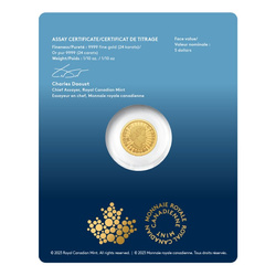 Canada: The Majestic Polar Bear 1/10 oz Gold 2023 (in the card)