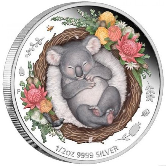 Dreaming Down Under: Śpiąca Koala kolorowana 1/2 uncji Srebra 2021 Proof