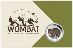 Australian Wombat coloured 1 oz Silver 2022