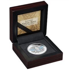 Monedă din argint Niue: Australian Native Bees - Teddy Bear Bee 1 uncie de argint 2026 Proof Hologramă