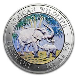 Faune africaine : Éléphant de Somalie coloré 1 once d'argent 2007