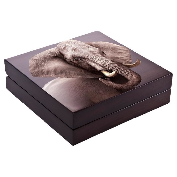 Big Five II: Elefante 5 oz Plata 2021 Proof