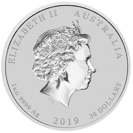 Lunar II: Rok Świni 1000 gramów Srebra 2019 PAKIET 10 SZTUK