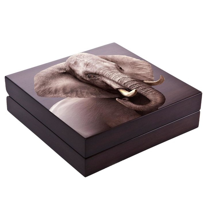 Big Five II: Elephant 1000 gramów Srebra 2021 Proof