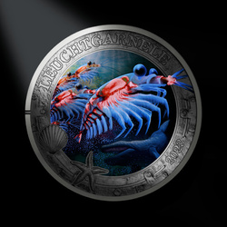 Leuchtturm - Siena tok 2 érme számára Magic Capsules L