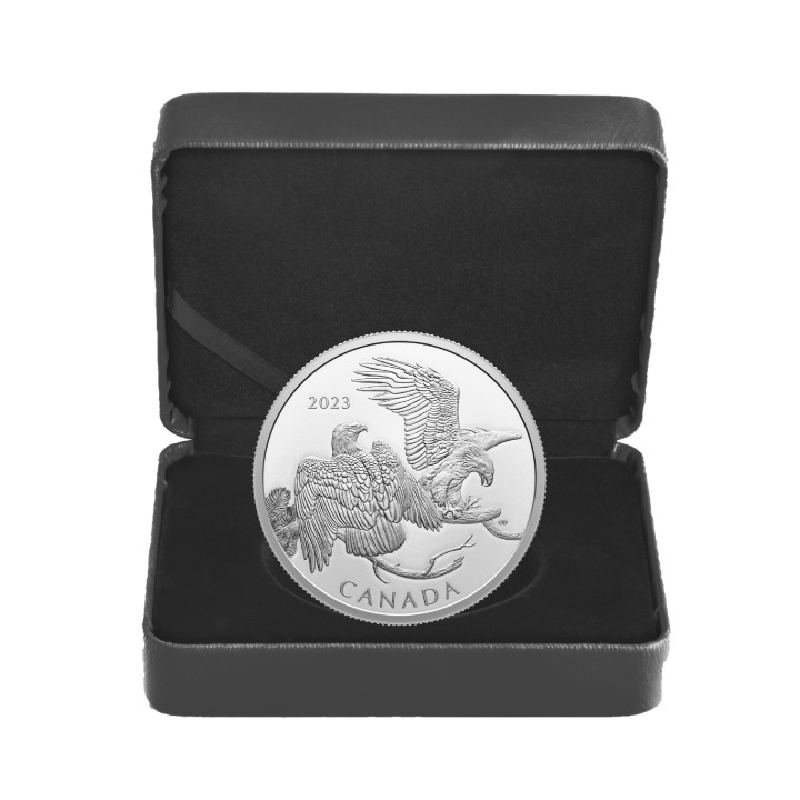 Canada: The Striking Bald Eagle $30 Silber 2023 Proof Coin