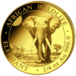 African Wildlife: Słoń Somalijski 1/4 uncji Złota 2025