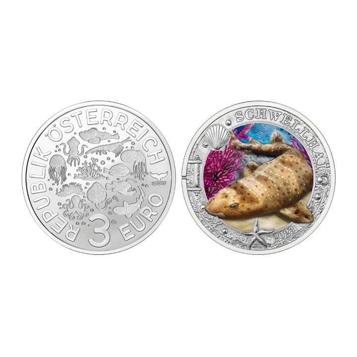 Swell Shark colorato 3 Euro rame 2023