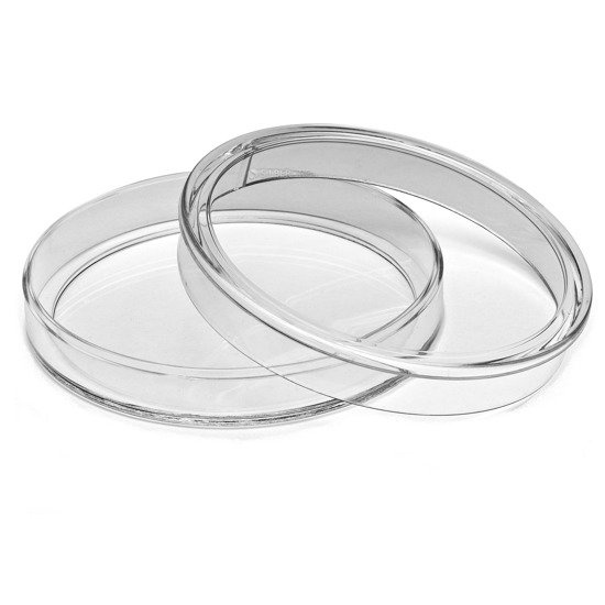 Capsulă din plastic pentru monedă Leuchtturm XL (diametru: dimensiuni diferite)