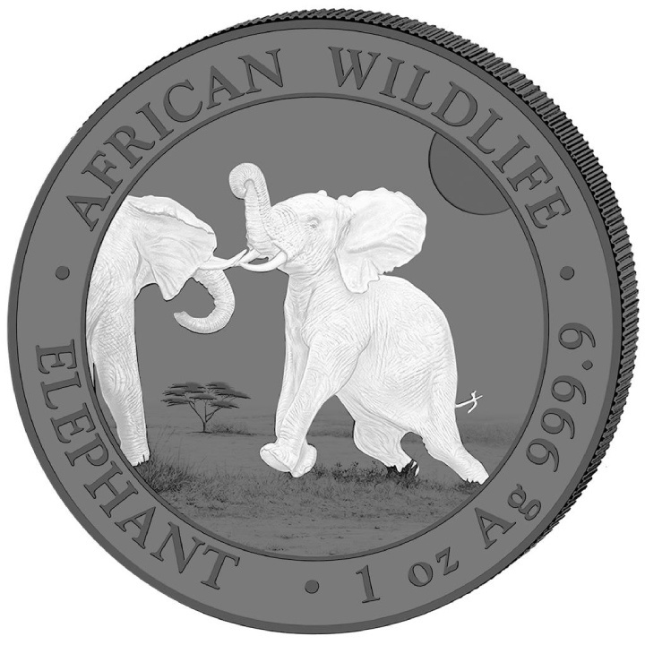 Lote de 2 monedas de la fauna africana: Elefante somalí "Blanco y negro" coloreado 2 x 1 oz Plata 2024